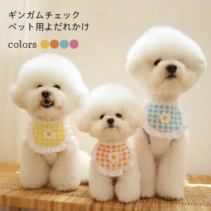 [X XJ[t  `FbN Rbg hbOX^C ybgpi LbgEFA Gv hbOEFA 悾ꂩ L X^C