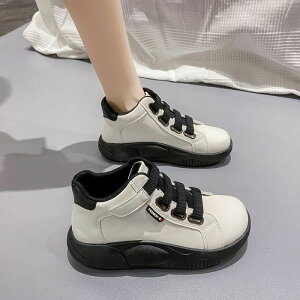 V fB[X Xj[J[  ₷ fB[X Xj[J[  RtH[gV[Y  Xj[J[