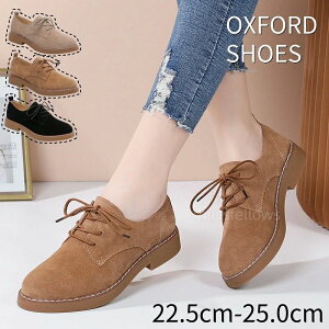  ɂȂ XG[h 3e 2.5cmq[ C [XAbvV[Y JWAV[Y IbNXtH[hV[Y fB[X