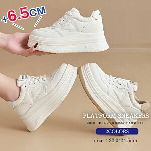 _CGbgXj[J[ C ؍ 40 30 20 ʊw H~ v Cq[Xj[J[  אg _bhXj[J[ 6.5