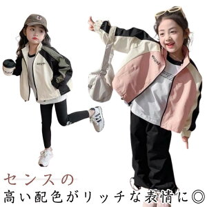 tR[ HR[g }Eep[J[ H zF  ؍ u] q Wp[ AE^[ H HD ̎q LbY