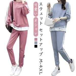 傫 [EFA fB[X w C W[W ZbgAbv  XEFbgpc XEFbg t ㉺ gbvX