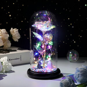  o^Cf[f[ v[go ԑ dr LEDCgt  bL[Y ͂Ȃ o 24KS[h[Y