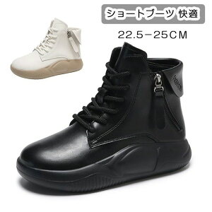  Xj[J[  g N ₷ O V[Y V[gu[c fB[X TChWbp[ fB[X