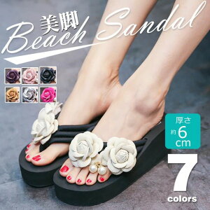  y y ԏ t[  ₷ Ȃ ɂȂ r r  nCq[ gOT_ r[`T_