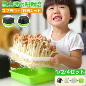 c ͔|e g[ k͔| y gC  s[ibck͔|{bNX cgC ₵͔| c|bg ͔|Lbg