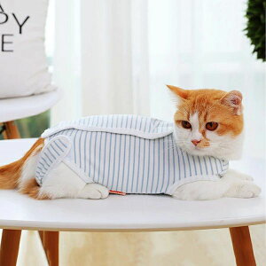 pp ~h~  D XgCv r ی _炩 ʋC ybg앞 p Y p㕞 앞 pEFA Lp