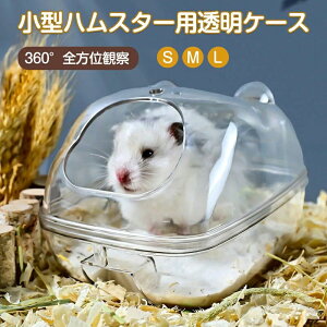 n Vя ʏ C EL |₷ юUh~  gC oXnEX oX[ P[W nX^[ gC