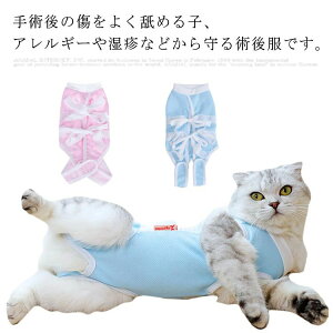 ԃ^C  pp ~h~ D XgCv r ی _炩 ʋC ybg앞 Yp p㒅 pEFA Lp