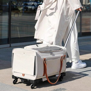 Ή s/ʉ@p Lknht Lp ԍڑΉ e yʐ݌v