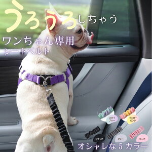 tb яoh~  [h 㕔 ԗp ԍ  h 㕔ȗp xg V[g p V[gxg   xg ybg