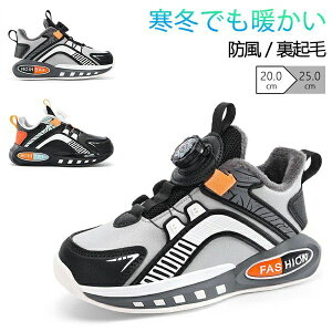 COʔ v[g  LbYC ~p  ۉ ʊw Xm[u[c {Au[c ȌC EC^[V[Y h ~C AEghA C j̎q 20-25cm qC N