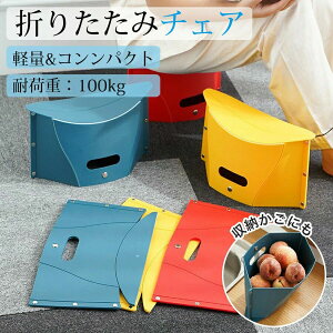  Lv ނ e[}p[N W[ AEghA y ^  ω׏d100kg RpNg Xc[ `FA ֎q