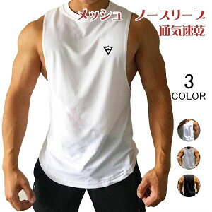 [  X|[cEFA tBbglX ؃g bVn m[X[u ANeBuEFA Y