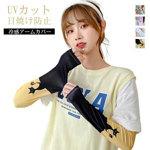 Lk ʋC Ђ X[u   A[K[h ACXX[u ⊴  fB[X Y A[Jo[