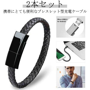 C ҂ݖ͗l P[u MicroUSB P[u Type-C uXbg rANZT[ Lightning  iphone [dP[u 2{ TypeC