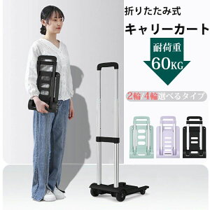 AEghA VbsO  LX^[t SЂ nhL[ É ^  y ω׏d60kg L[J[g