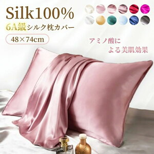 6A 킢  􂦂 q ێ  wAPA  ⊴ ܂Jo[   48×74cm  VN100 Jo[