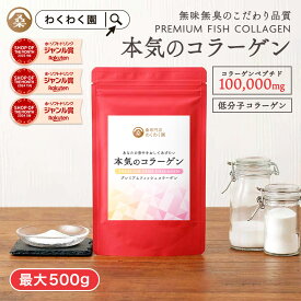 【クーポンで40%OFF】 ( コラーゲン 粉末 選べる内容量 ) 無添加 送料無料 おすすめ 無味無臭 純度100％ の フィッシュコラーゲン パウダー サプリ コラーゲンペプチド 無着色 低分子コラーゲン コラーゲン粉末 魚皮 魚 サプリ タンパク質 スキンケア