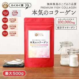【クーポンで40%OFF】( コラーゲン 粉末 選べる内容量 ) 無添加 送料無料 おすすめ 無味無臭 純度100％ の フィッシュコラーゲン パウダー サプリ コラーゲンペプチド 無着色 低分子コラーゲン コラーゲン粉末 魚皮 魚 サプリ タンパク質 スキンケア