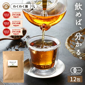 ( L@ K ق12  ) 킭킭  Y I[KjbN mJtFC  eB[obO K̗t L@JAS K K̗t