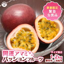 パッションフルーツ 完熟 フルーツ リリコイ 果物 サイズ混合 選べる 家庭用 贈答用 【数量限定】奄美大島開運酒造 果…