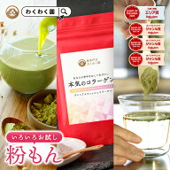 （ わくわく園 選べる パウダー！ プロテイン コラーゲン 桑コラーゲン！ 送料無料 1000円ポッキリ ） パ…