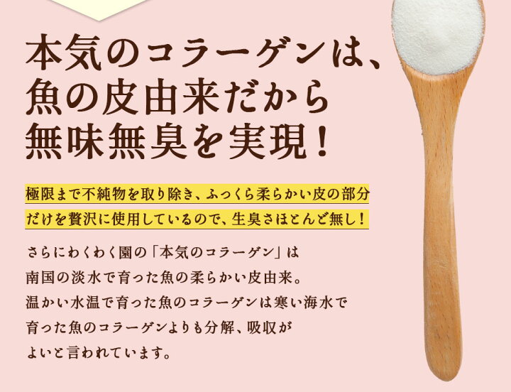 楽天市場】純度100% ( コラーゲン 粉末 100g ) コラーゲン パウダー サプリ 低分子 フィッシュコラーゲン コラーゲンペプチド 無味無臭 無添加 無着色 低分子コラーゲン コラーゲン粉末 魚皮 コラーゲンパウダー サプリメント 送料無料 : わくわく園 楽天市場】純度100% ( コラーゲン 粉末 100g ) コラーゲン パウダー サプリ 低分子 フィッシュコラーゲン コラーゲンペプチド 無味無臭 無添加 無着色 低分子コラーゲン コラーゲン粉末 魚皮 コラーゲンパウダー サプリメント 送料無料 : わくわく園