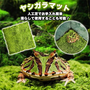 �������� �w�r �J�� �J�G�� �ʋC�� �􂦂� �e�����E���Q�� �ێ��z�� �l�H�� �Q�� ����p �}�b�g