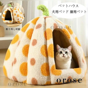  H~   ӂӂ Lpxbg pxbh ʕ 킢  ybgxbh h[^ ybgnEX