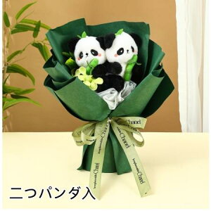 \[vt[ Mtg p_ ͂Ȃ  p_ ԑ v[go o^C ̓ j a