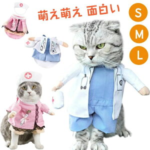 �� �G���G�� ���^�� ���^�� �񑫕��s �n���E�B�� ��� �R�X�v�� �ʔ��� ���p �L�� ���� �n���E�B�� �Ō�w ��� �R�X�`���[��