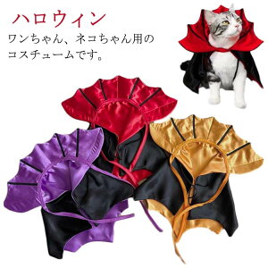 �N �ϐg�� ���� ���킢�� ���� �L�p �� �X�q �ݕt�� ���Ԃ���� �P�[�v �}���g �R�X�`���[�� �R�X�v�� ���@���p�C�A �n���E�B��