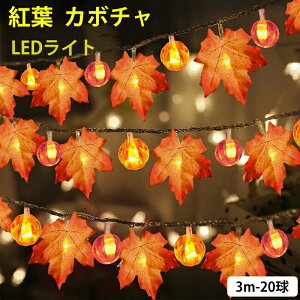 dr 3m 20 LEDC~l[V JGf̗t ڂ ݂ XgOCg LEDCg J{` gt ݂ t