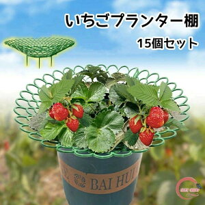 C`S iX g}g C`S |x xI ͔|I 䕕cI ȒPɑg vX`bN Ax 15Zbg v^[I