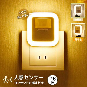 _/ ^C}[ Cg  ⏕ 邳  10iK  lZT[  tbgCg LED RZg