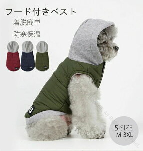 ���^�� ���^�� �����₷�� �y�� ���[�h���t�� �t�[�h�t�� �_�E���W���P�b�g �h���W���P�b�g �A�E�^�[ �H�~�p�x�X�g ��