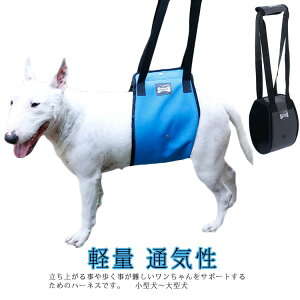 xgグ ی p V s⏕n[lX ^ ^ ^    둫  p V sT|[g