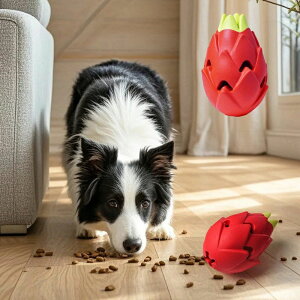 �^�� ��v ���S �������� ���p�������� �X�g���X���� �����ނ������� �{�[���������� �y�b�g�������� �h���S���t���[�c �a�{�[��