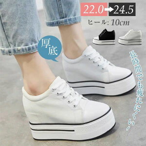 ubN zCg   V[Y [XAbv JWA ₷  r 10cm Cq[ fB[X Xj[J[