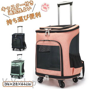 s AEghA  ^ ^ L[P[X bNL[obO LX^[t bV ܂肽 Lybg 