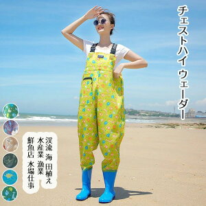 d NX  Y cA C k 22.5cm`25cm tC tFg\[ |Pbg h X[c ނ EF[_[