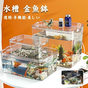 �A�N�Z�T ���� ���� �T ��炵 �J�j ঒��� �e�[�u�� �� �� ���� ��� �傫���T�C�Y/����T�C�Y PET�f�� ������ ������� ������