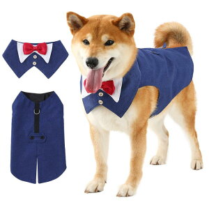 p[eB[ tH[} EFfBO   l lN^C {E^C W xXg X[c  ^LV[h p 