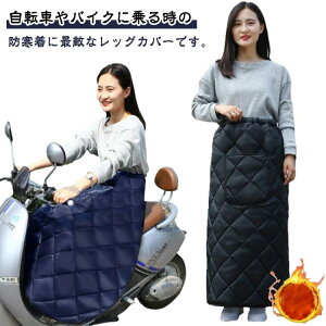 XN[ ΍ Ђ| h N XJ[g Y fB[X  h ۉ bOJo[ oCN hGv