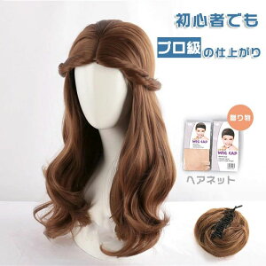  o  ϔM RXv  fB[X   uE [bp ̋M |j[e[  