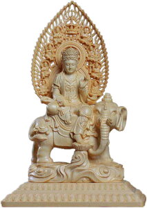 (F) N F  J^\񊱎x{ (22.5cm) Oؐؒ u F ؒ