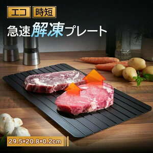 |Cg ̓ jMtg ⓀHiΉ R Ɩpƒp }