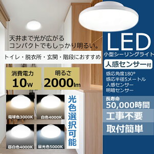 2025NV쁚LED V[OCg lZT[ ^ LEDV[OCg 10W 100W Px2000LM V[OCg 6 lZT[  a  RpNg V ȃGl ^ Ɩ