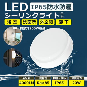 y1~20ZbgzLED V[OCg Ɩ 4 6 8 Ɩ LED h 20W 4000LM 200W ȃGl ߓd ^ ^ LEDƖ  oX[Cg V[OCg LED ی^  